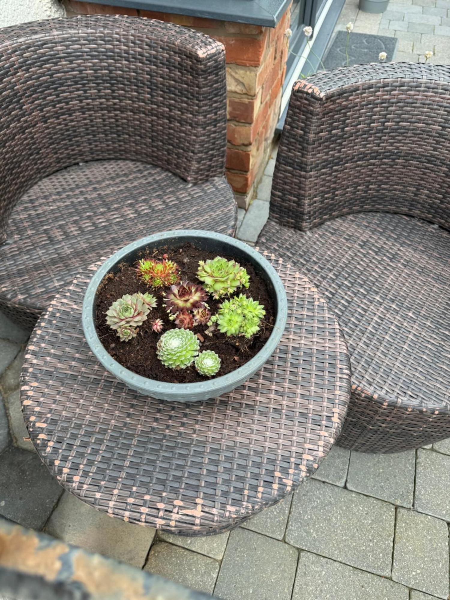 Beach House Apartment On Ground Floor With Sea View - Pet Friendly Cleveleys Buitenkant foto